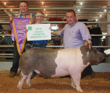 16-20a Lewis Genetics Winners