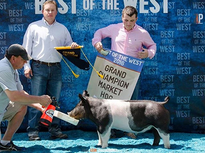 16-3 Lewis Genetics Winners