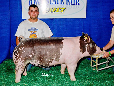 17-5 Lewis Genetics Winners