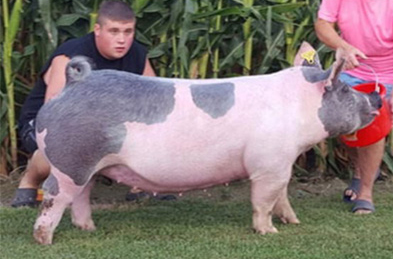 17-7a Lewis Genetics Winners