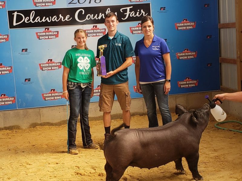 18-20 Lewis Genetics Winners