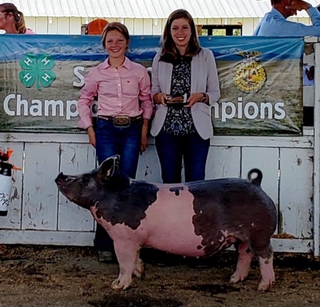 20-3 Lewis Genetics Winners