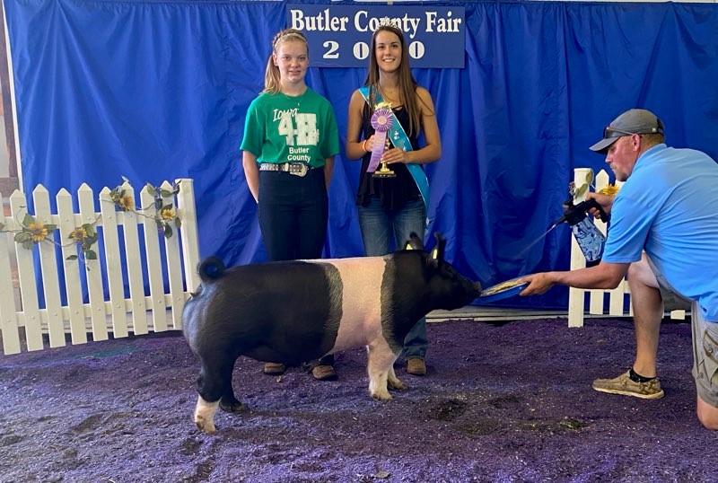 20-4 Lewis Genetics Winners